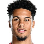 皮尔特-哈里斯头像,皮尔特-哈里斯图片